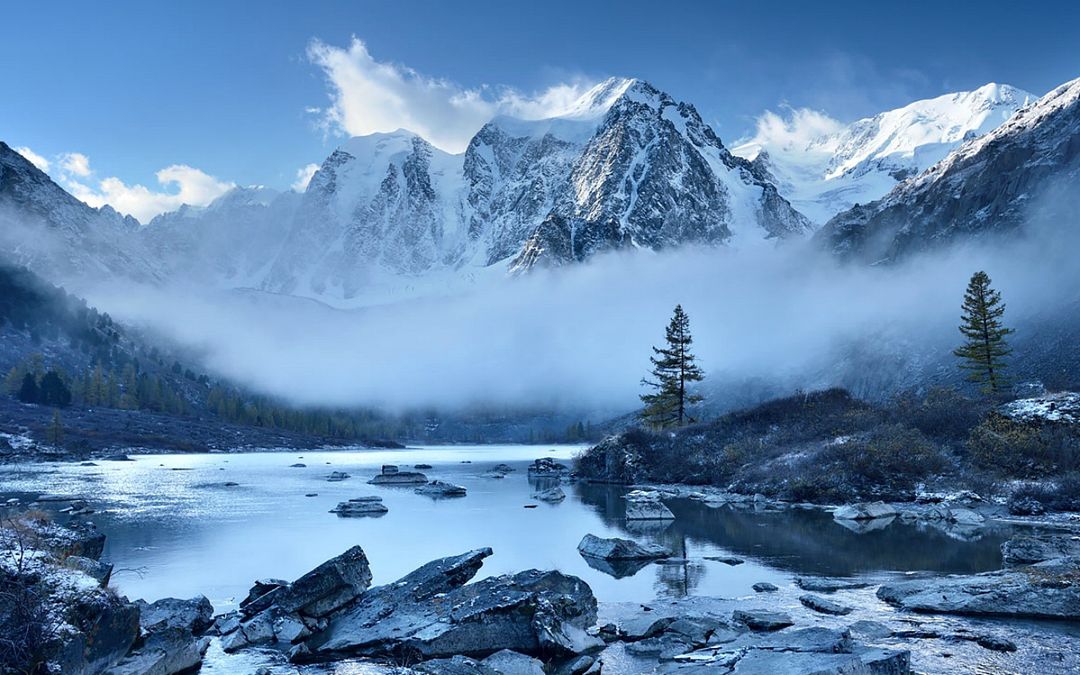 حرکت‌شناسی یا کینزیولوژی